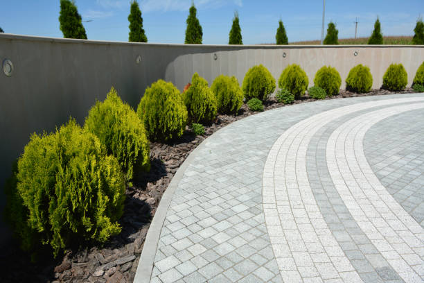 Best Professional Driveway Pavers  in Stanley, ND